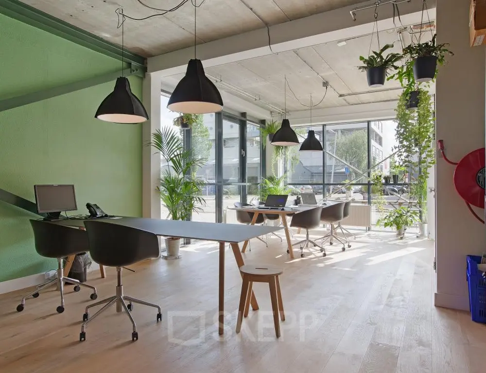 scandinavisch kantoordesign inrichting kantoorruimte kantoorplanten2