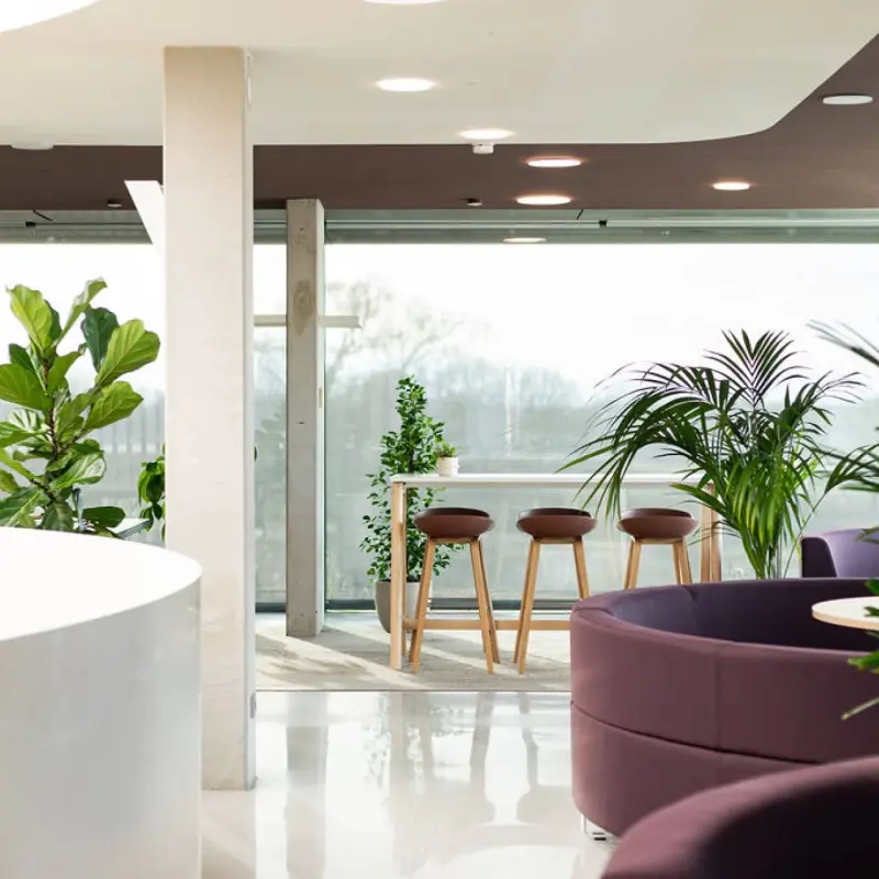 Sigmax feels like Sigmax again