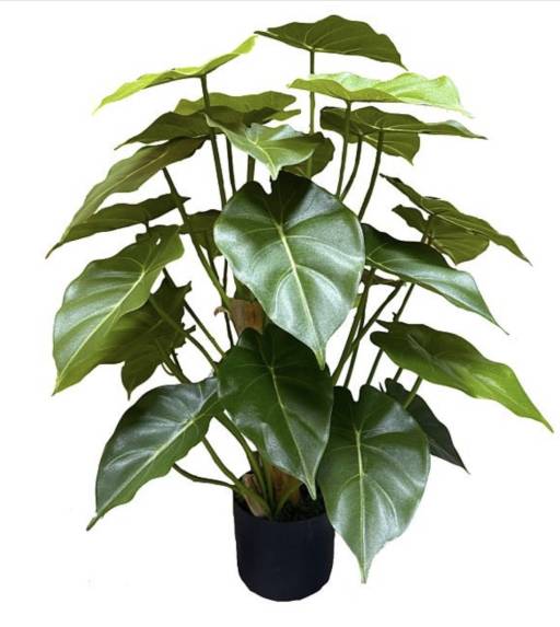 Artificial Syngonium