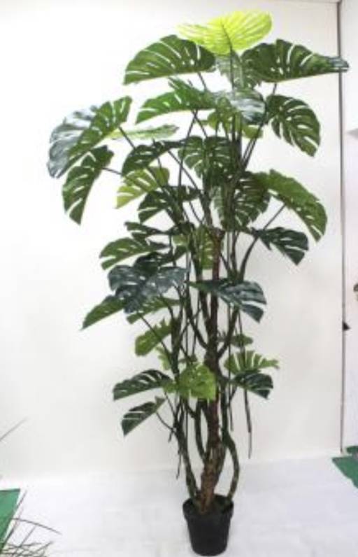 Artificial Philo Plant