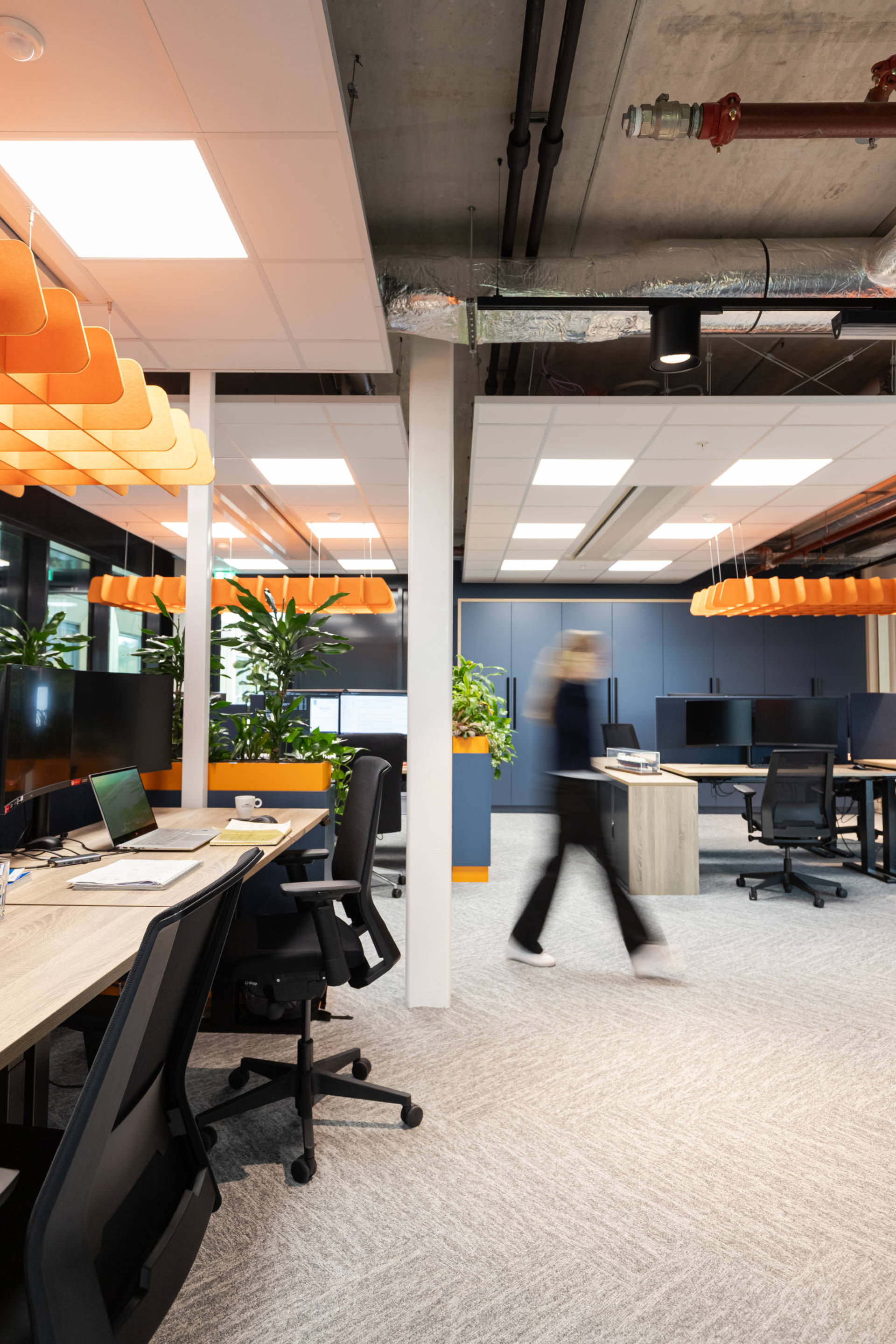 Een frisse start voor Saltwater